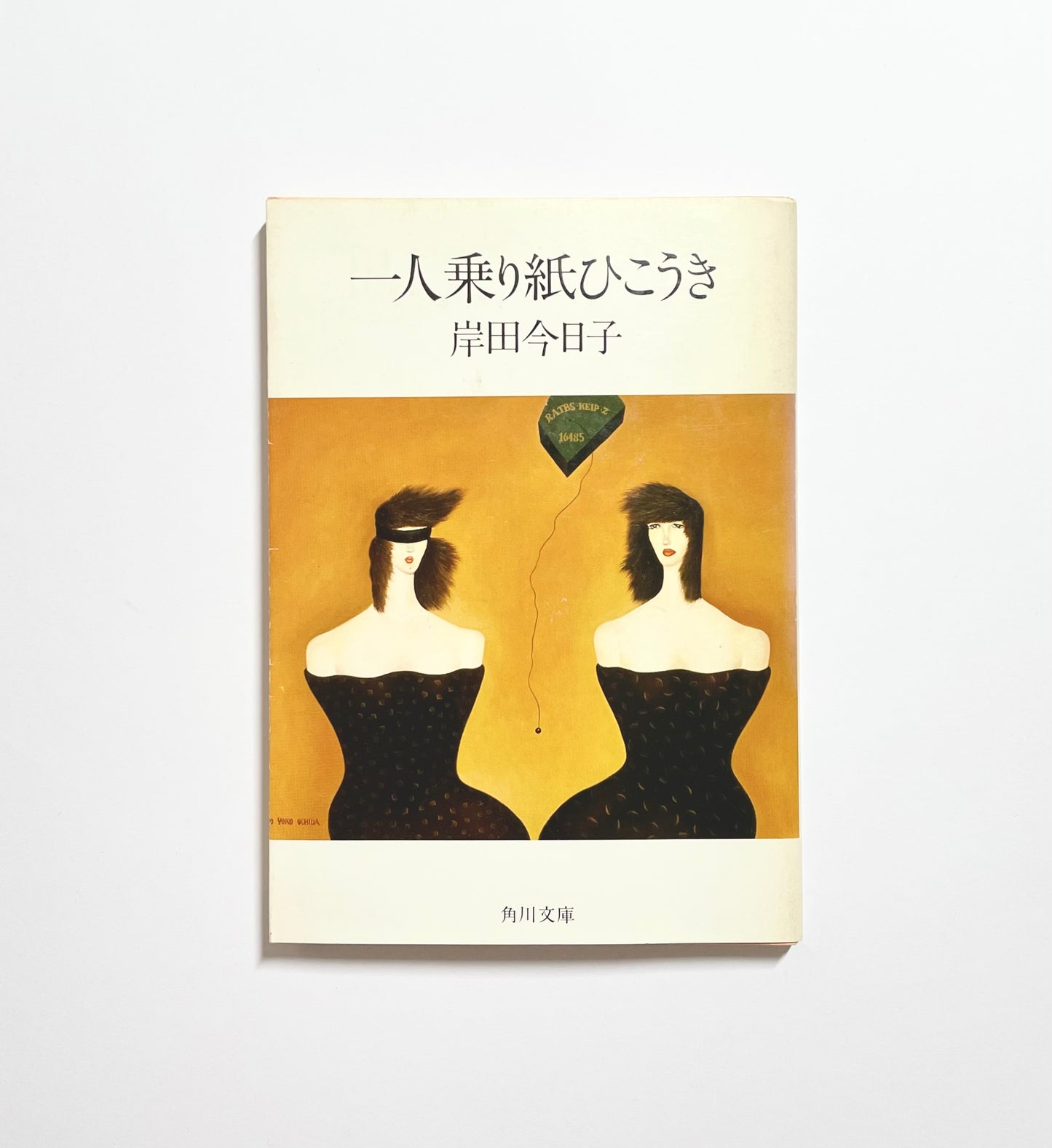 一人乗り紙ひこうき