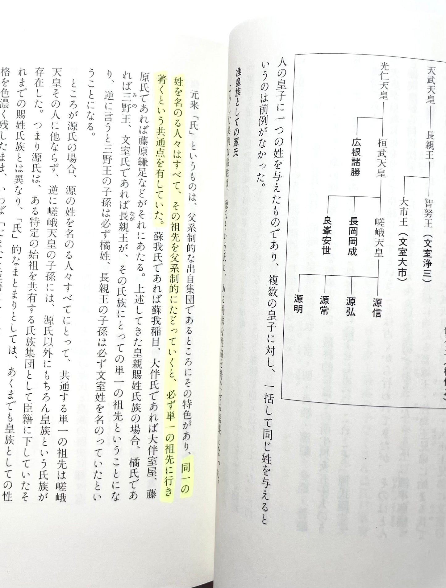 源氏と日本国王