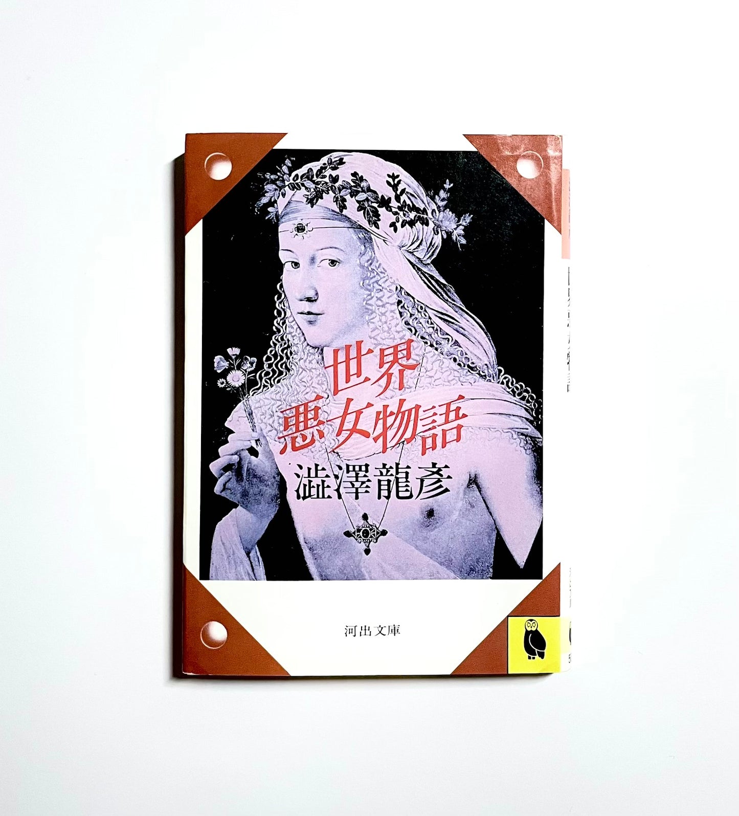 世界悪女物語 河出文庫澁澤龍彦コレクション