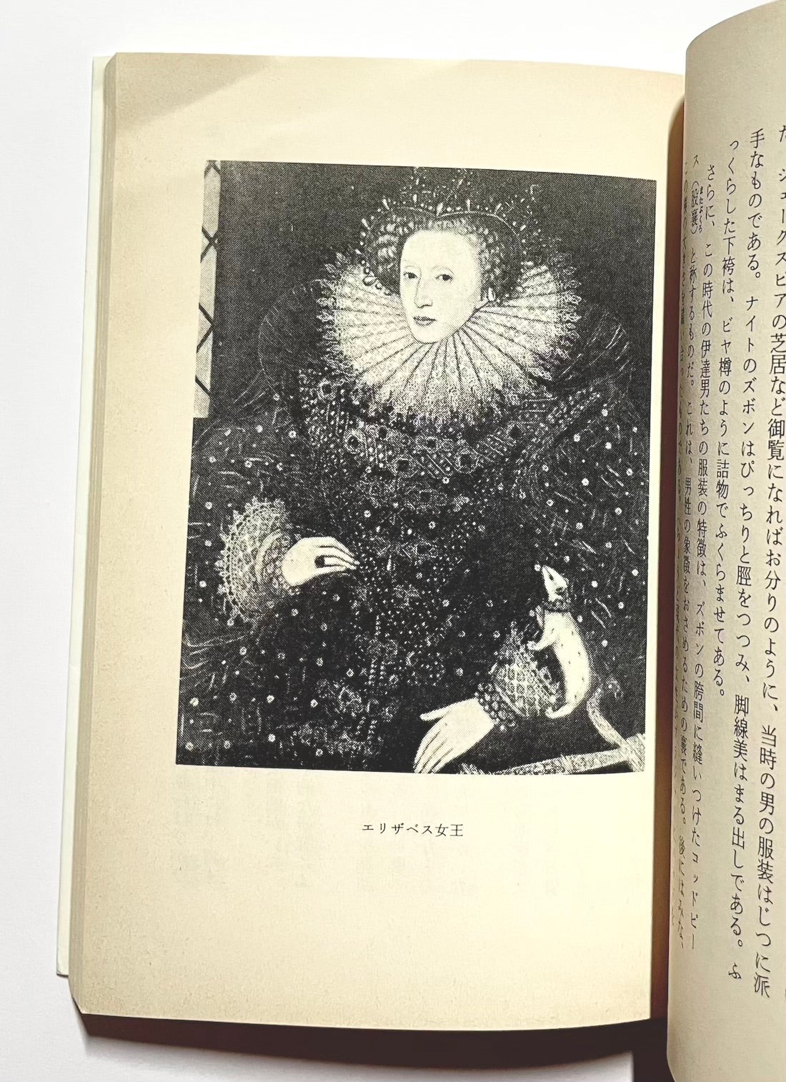 世界悪女物語 河出文庫澁澤龍彦コレクション
