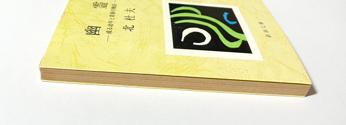 幽霊 ― 或る幼年と青春の物語