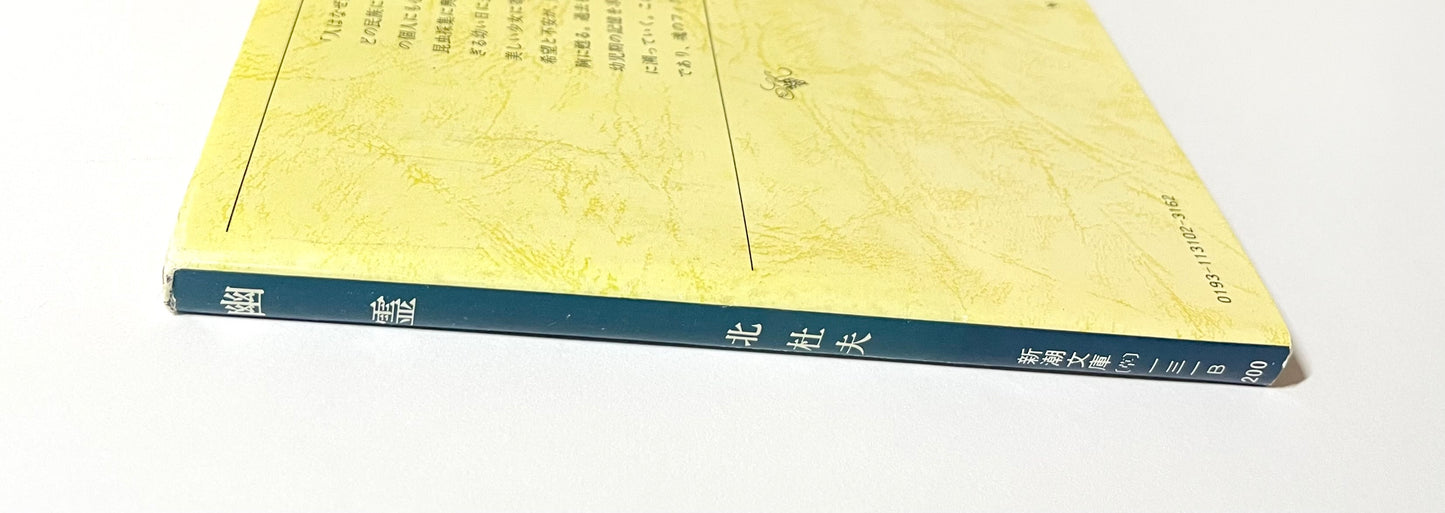 幽霊 ― 或る幼年と青春の物語