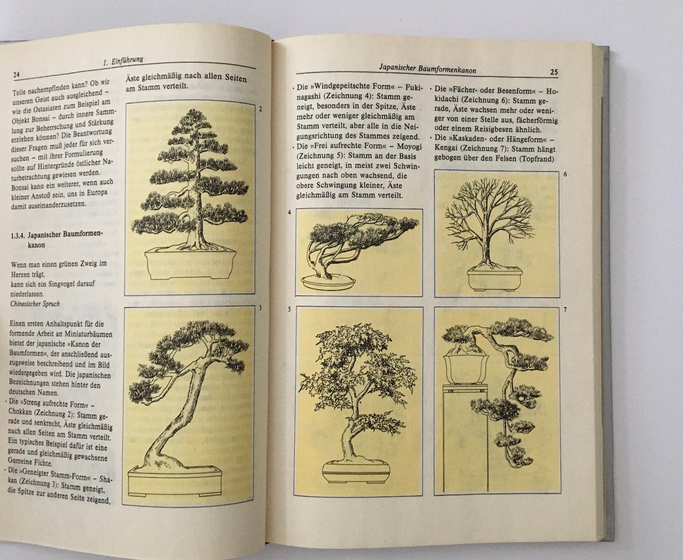 Bonsai : Miniaturbäume im Gefäß