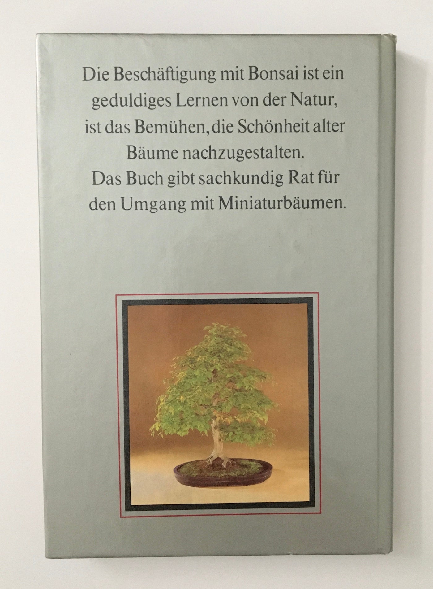 Bonsai : Miniaturbäume im Gefäß