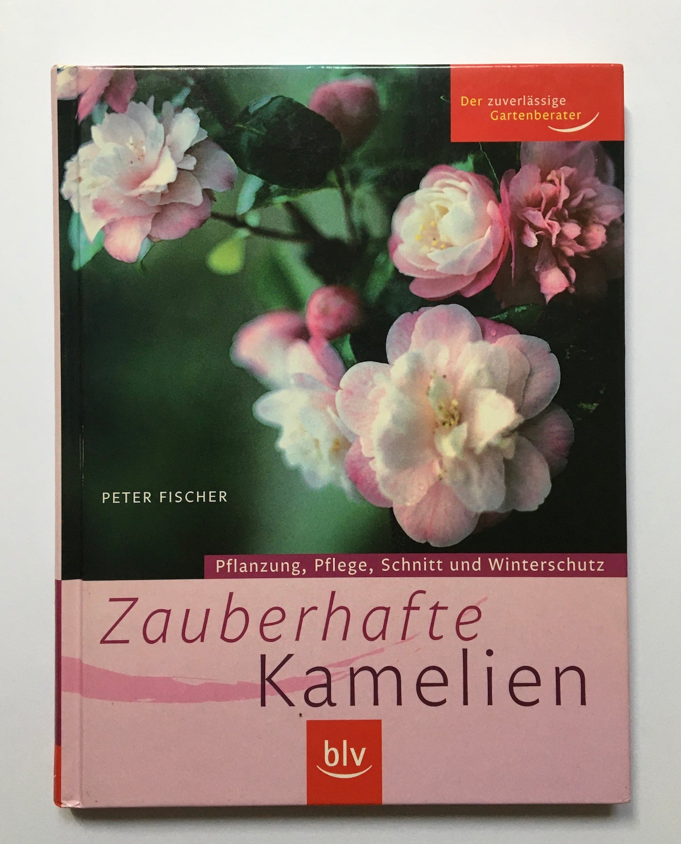 Zauberhafte Kamelien: Pflanzung, Pflege, Schnitt und Winterschutz