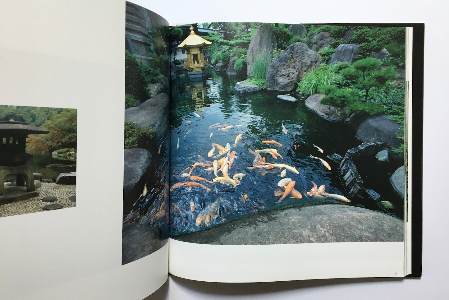 Incomparable Japanese gardens