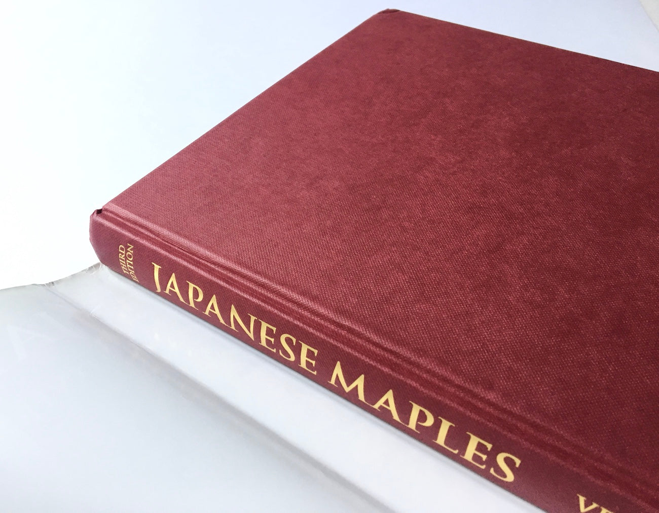 Japanese maples: Momiji and Keade