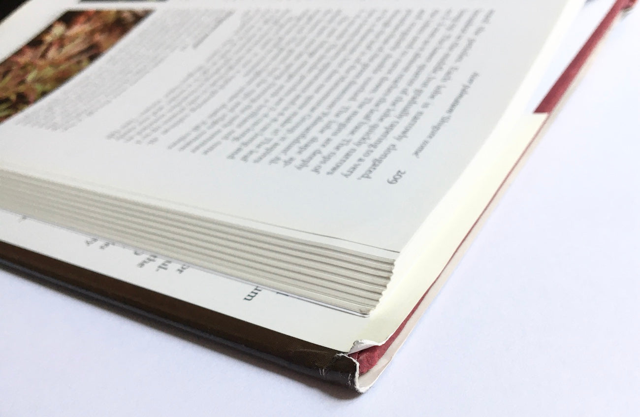 Japanese maples: Momiji and Keade