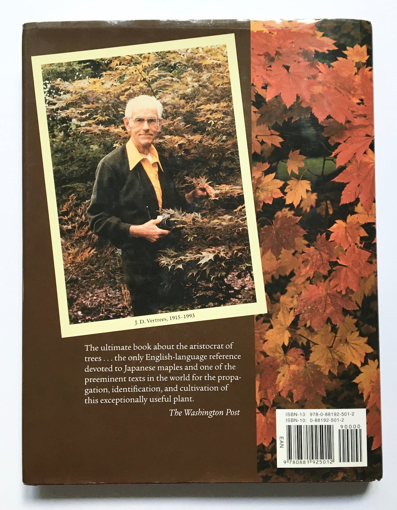 Japanese maples: Momiji and Keade