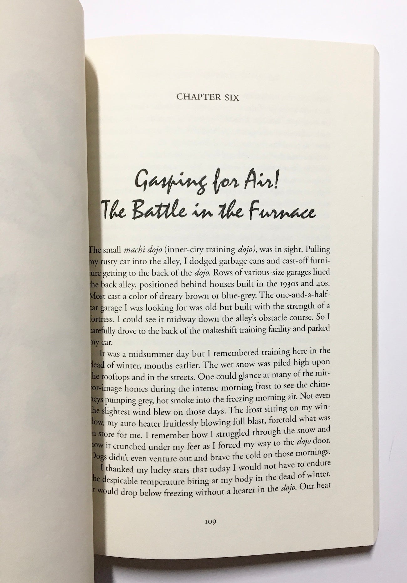 Zen and the art of street fighting: True battles of a modern-day warrior