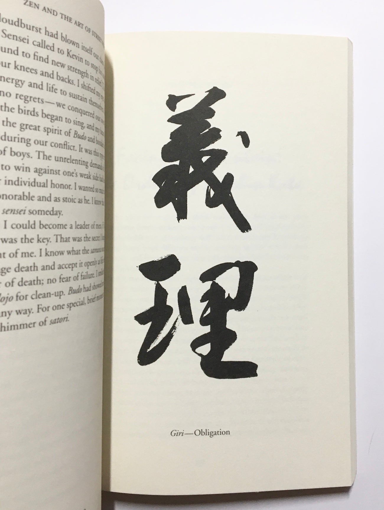 Zen and the art of street fighting: True battles of a modern-day warrior