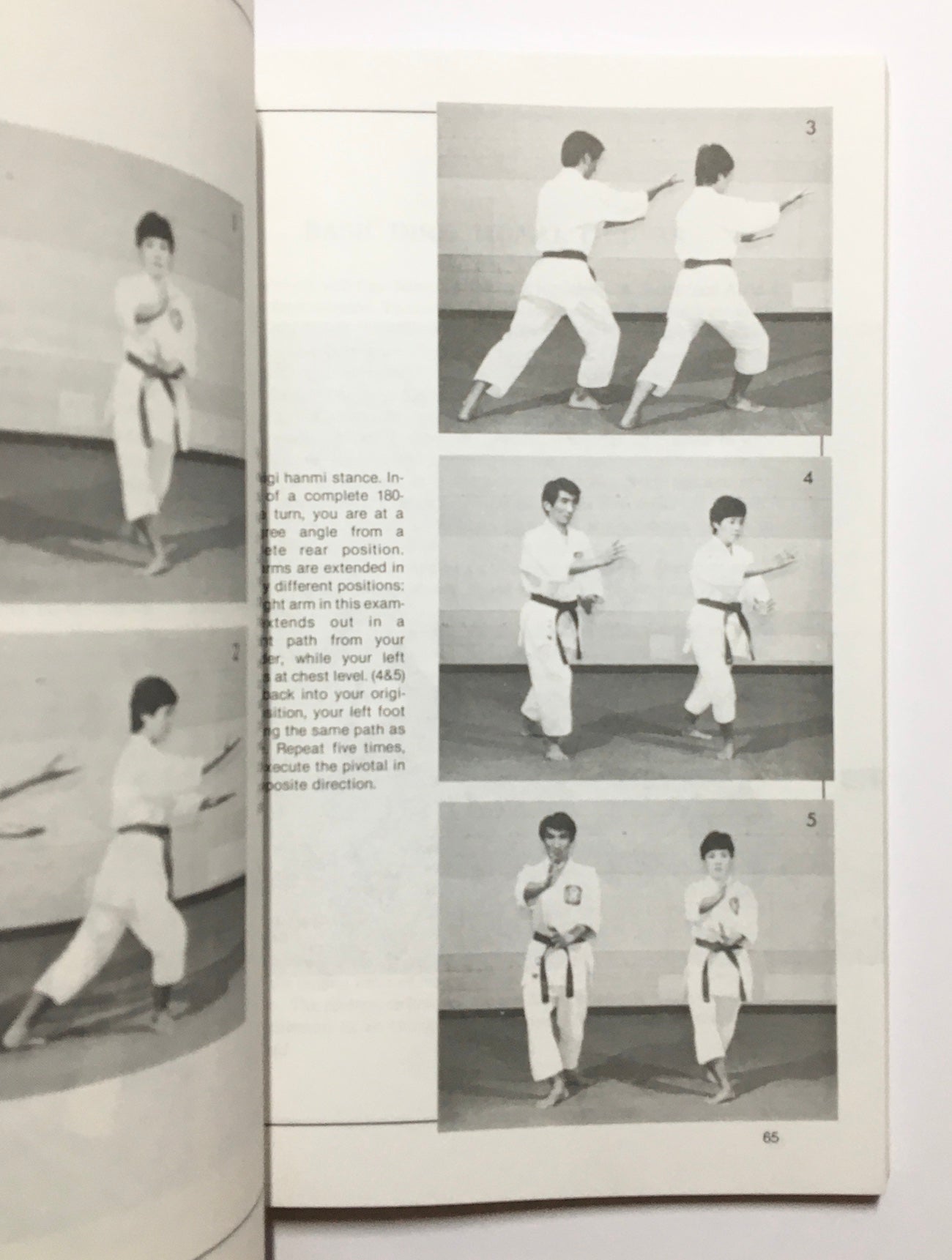 Keijutsukai Aikido: Japanese art of self-defense
