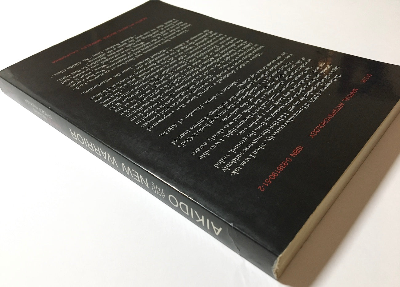 Aikido and the new warrior