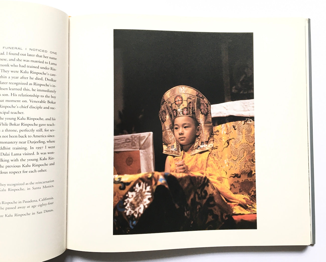 Visions of Buddhist life