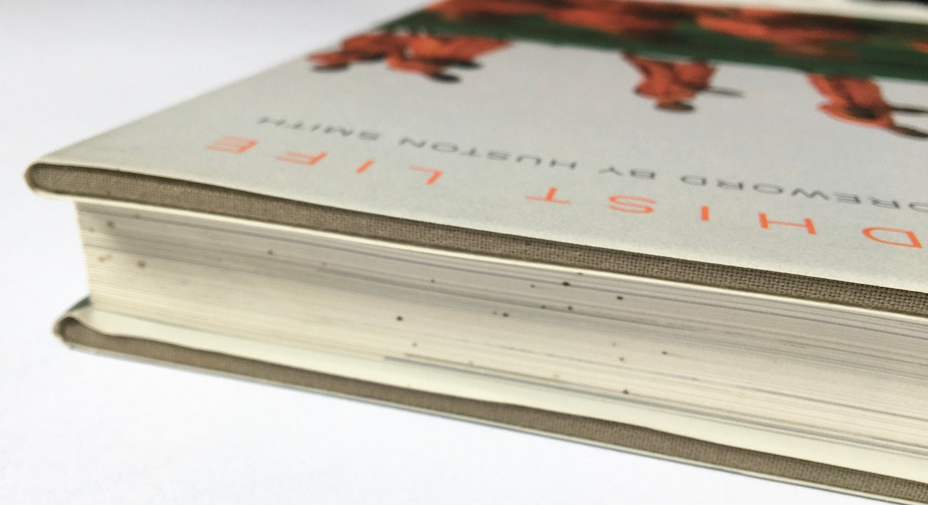 Visions of Buddhist life