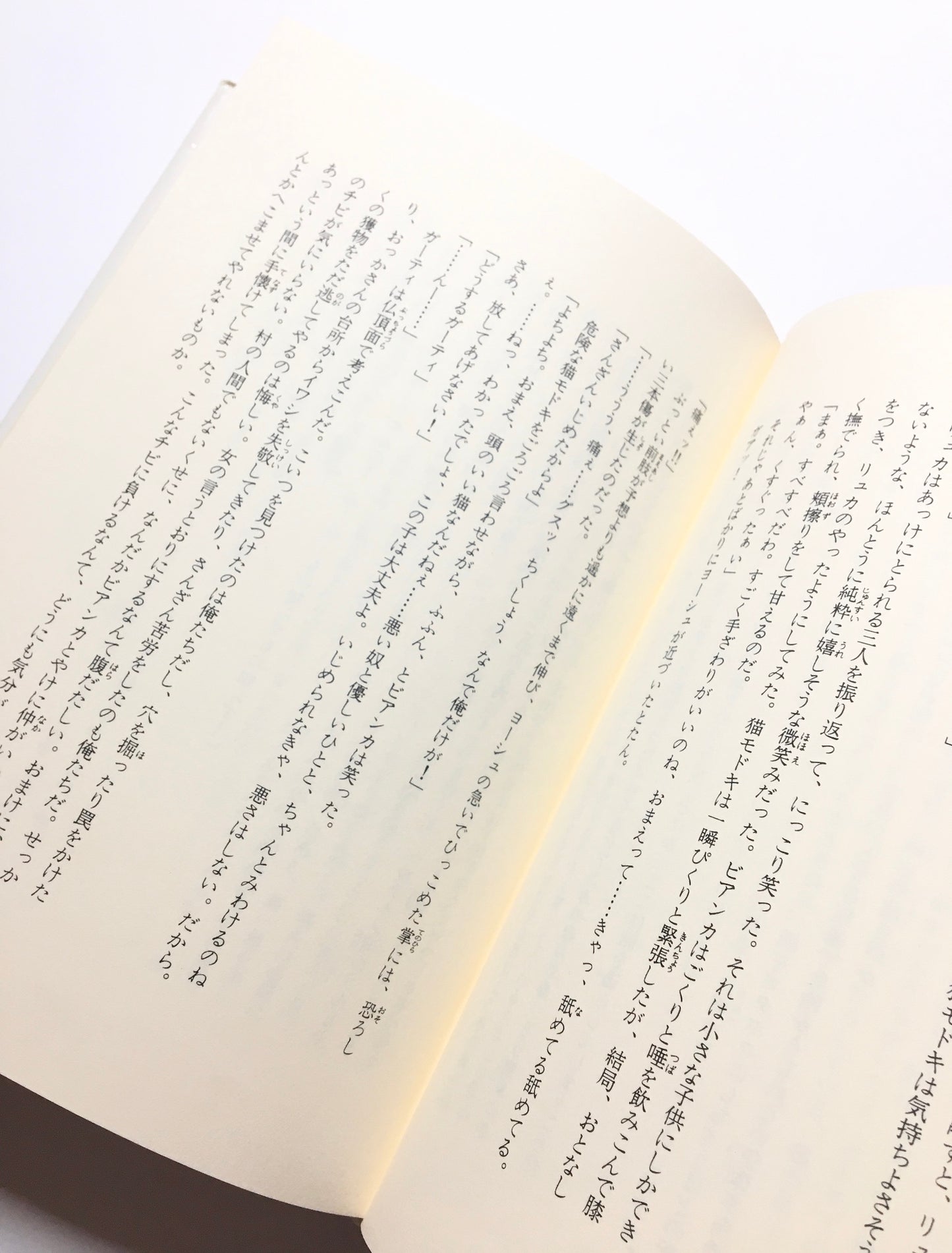 ドラゴンクエスト5 (1)