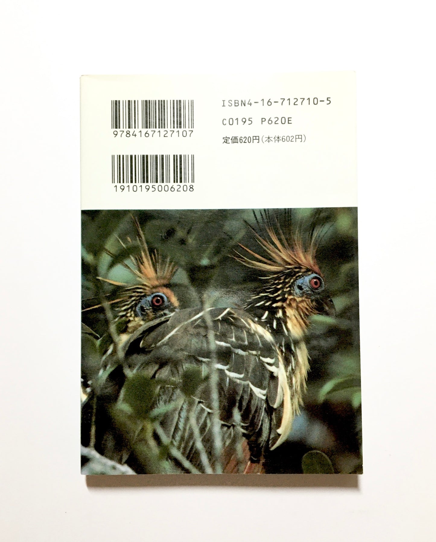 もっと広く!: 南北両アメリカ大陸縦断記・南米篇 (下)