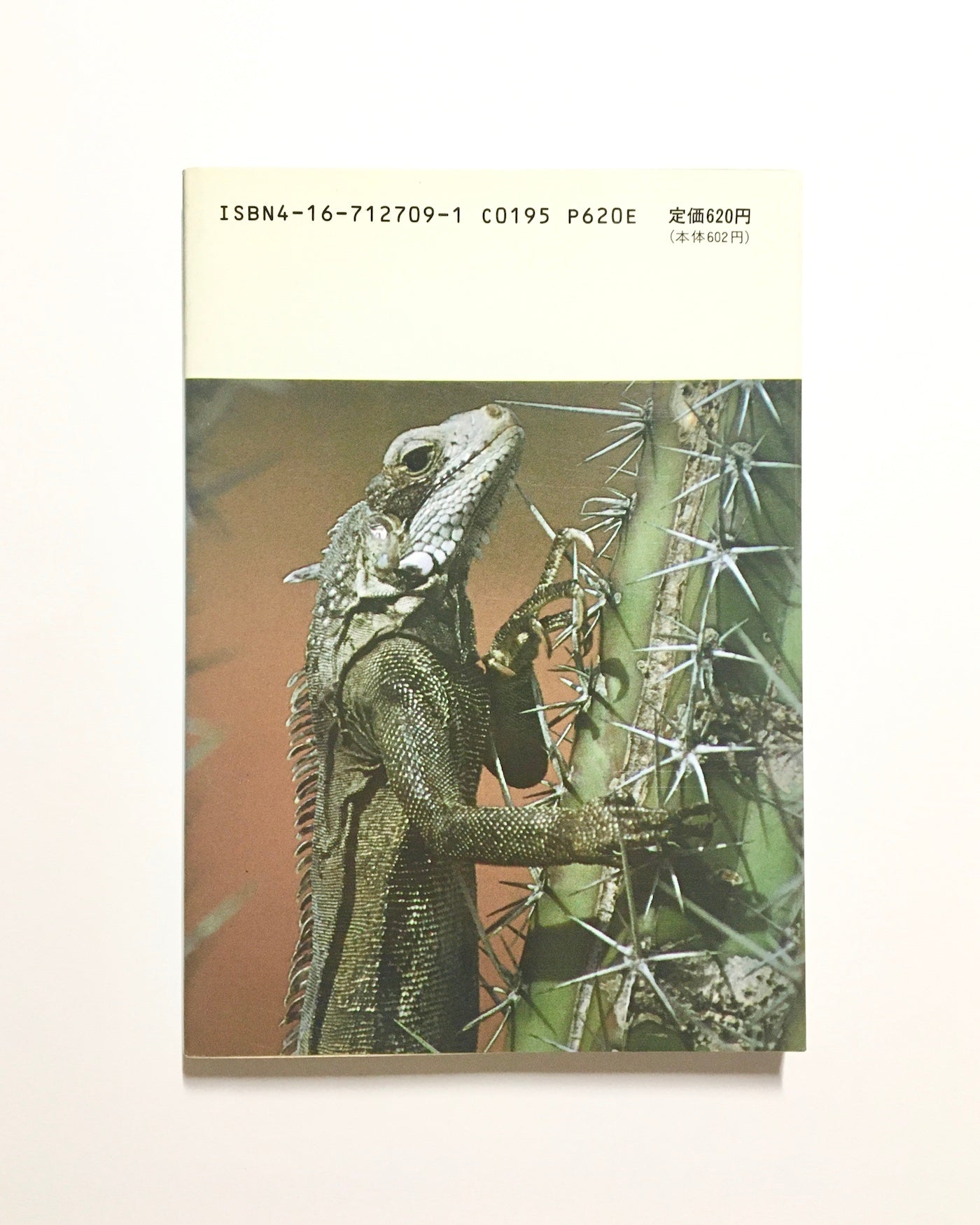 もっと広く! (上) 南北両アメリカ大陸縦断記・南米篇
