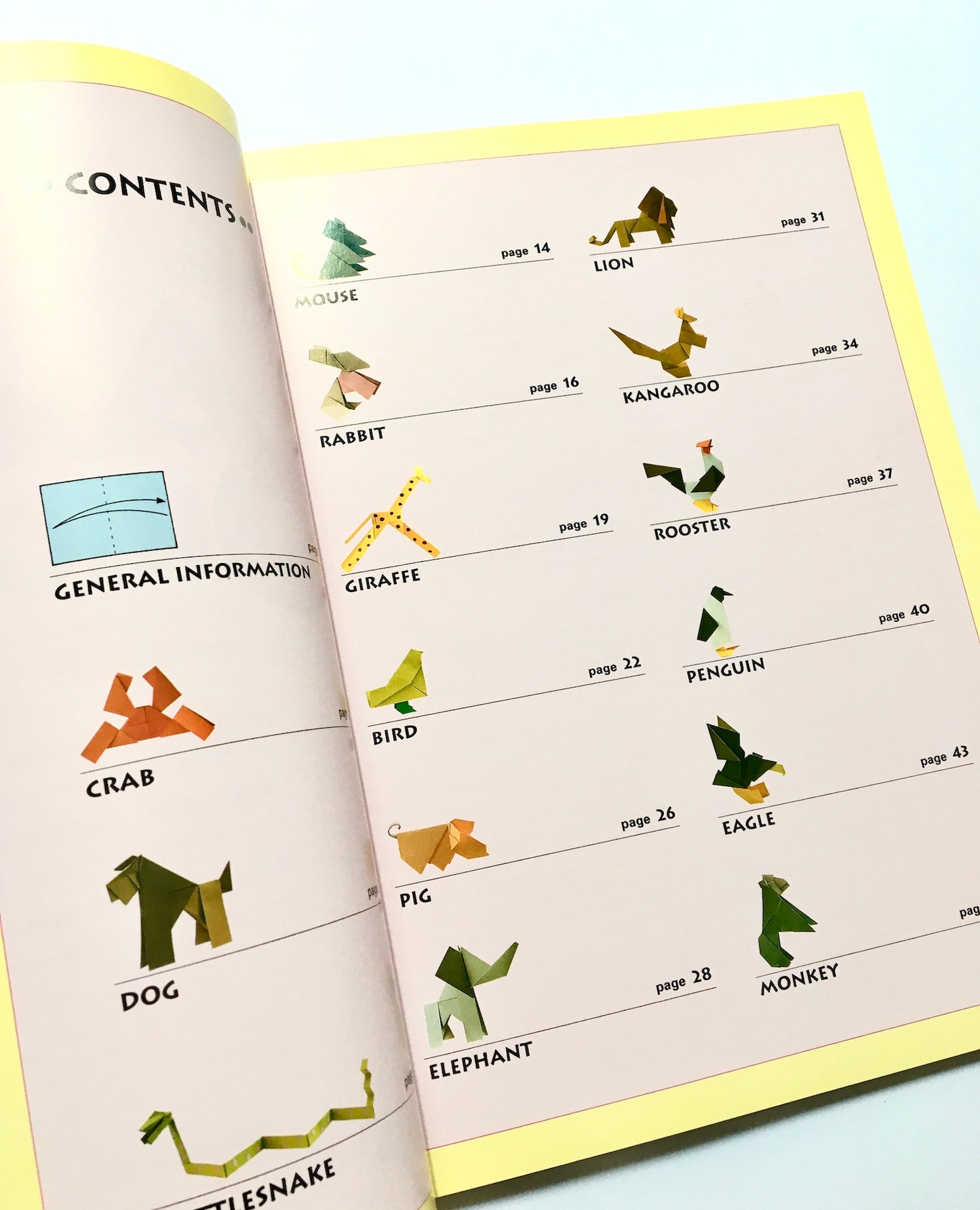 Animal Origami