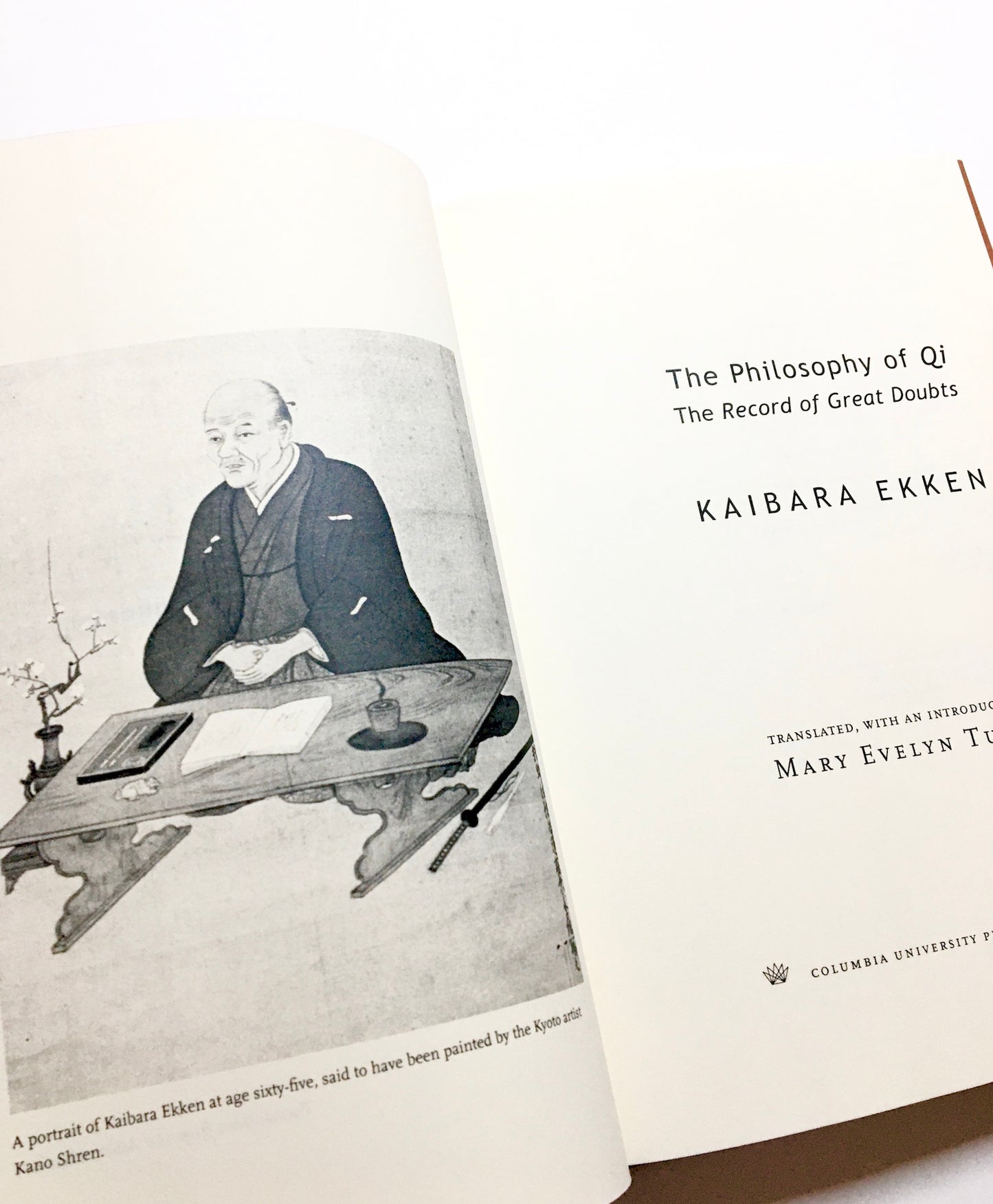 The Philosophy of Qi: The Record of Great Doubts