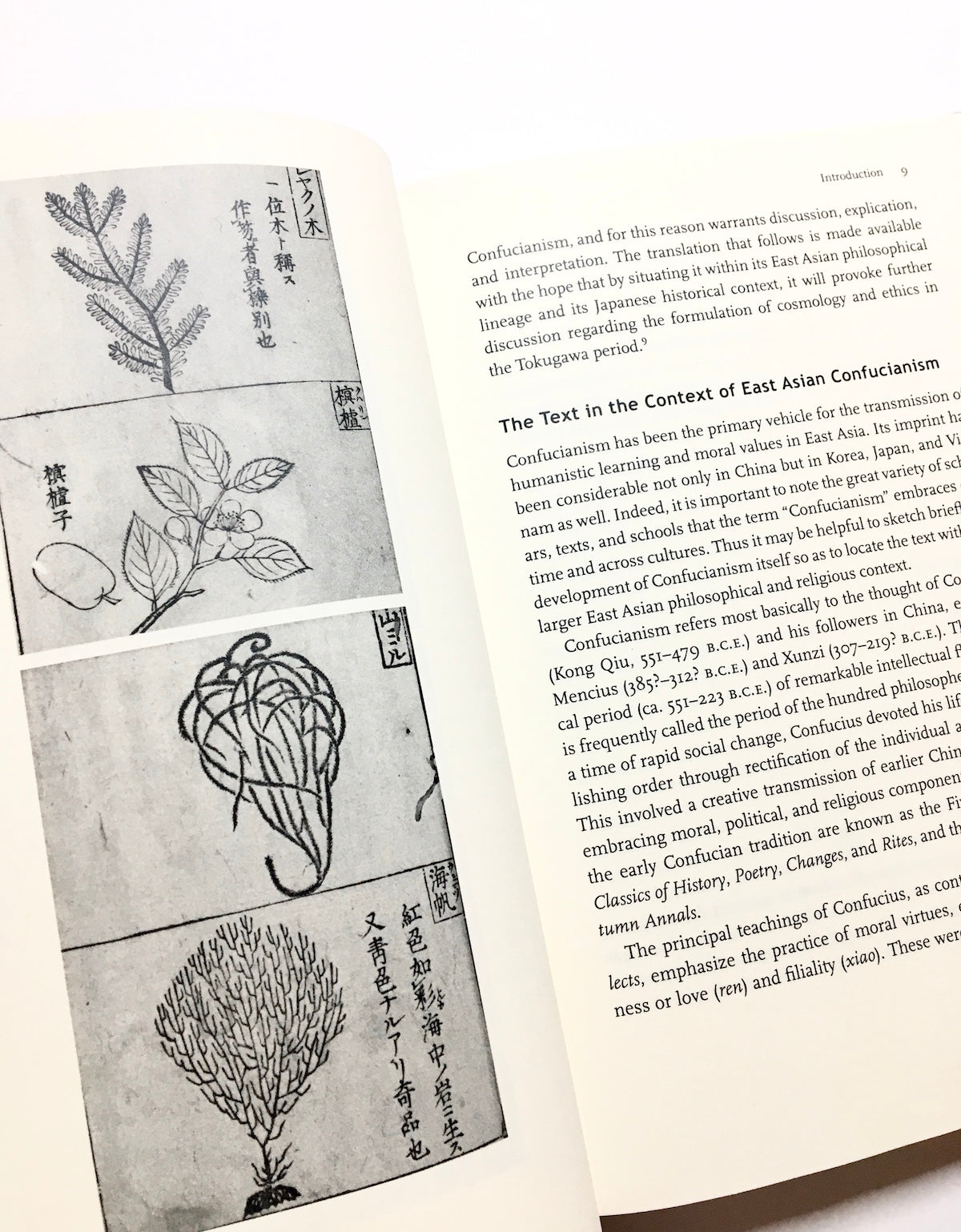 The Philosophy of Qi: The Record of Great Doubts