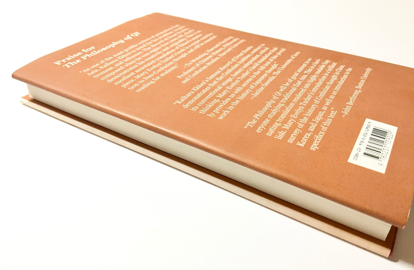 The Philosophy of Qi: The Record of Great Doubts