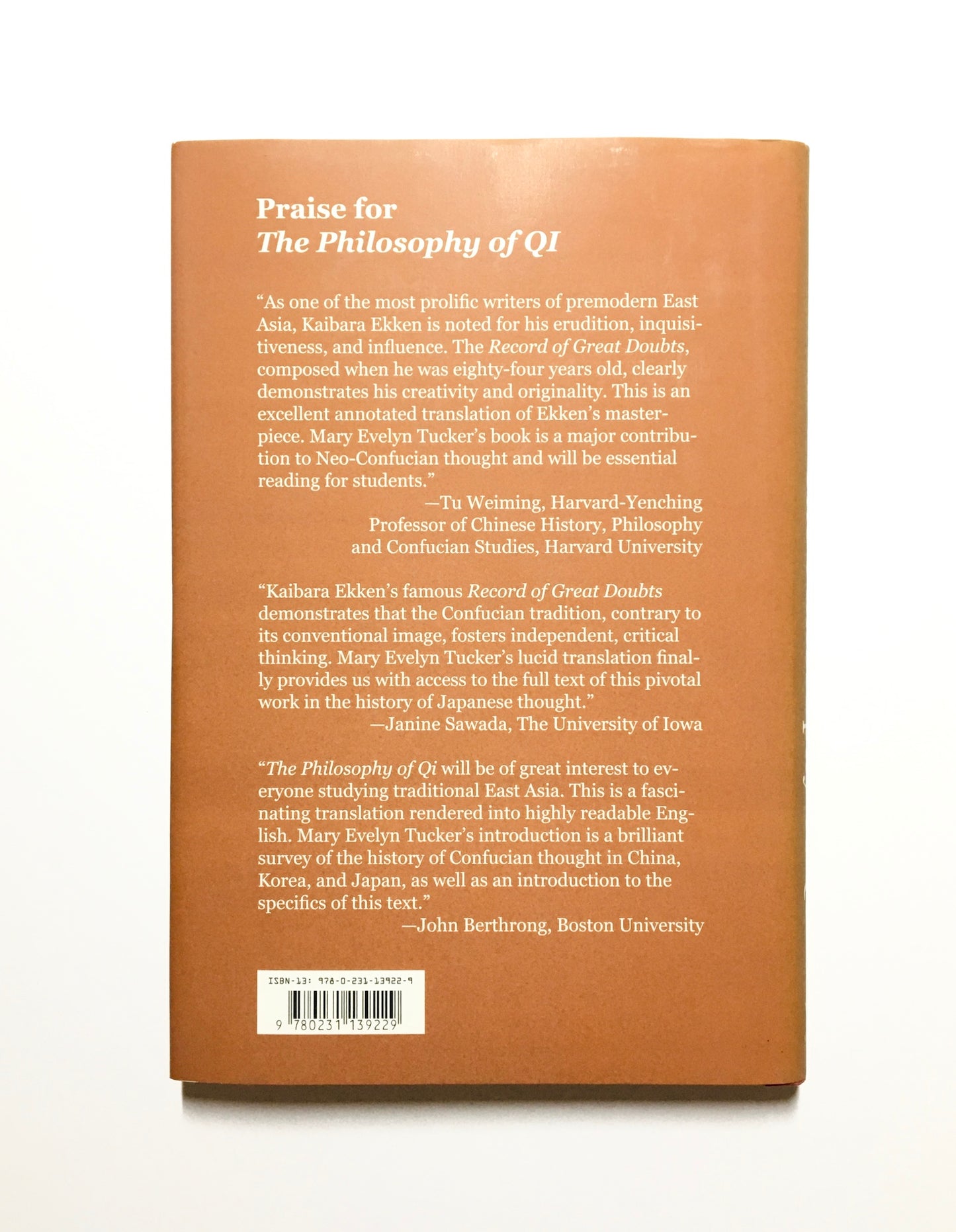 The Philosophy of Qi: The Record of Great Doubts