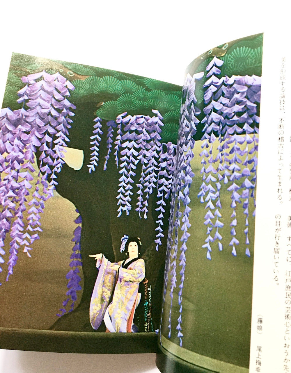 歌舞伎 (カラーブックス 72)