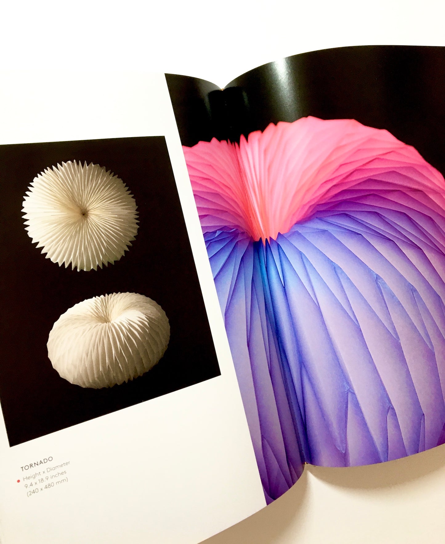 Tomoko Fuse's Origami Art: Works by a Modern Master