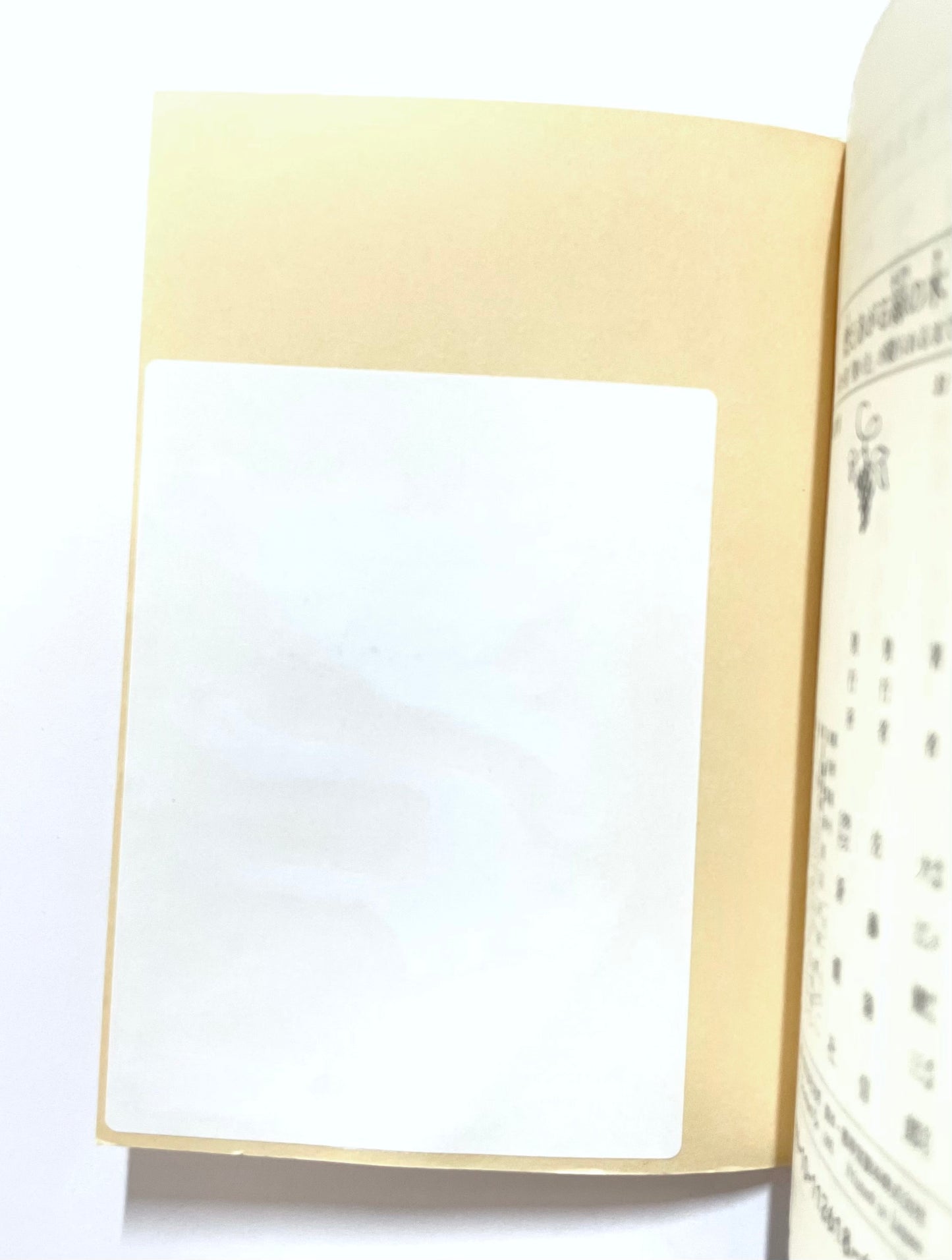燃えあがる緑の木〈第1部〉「救い主」が殴られるまで