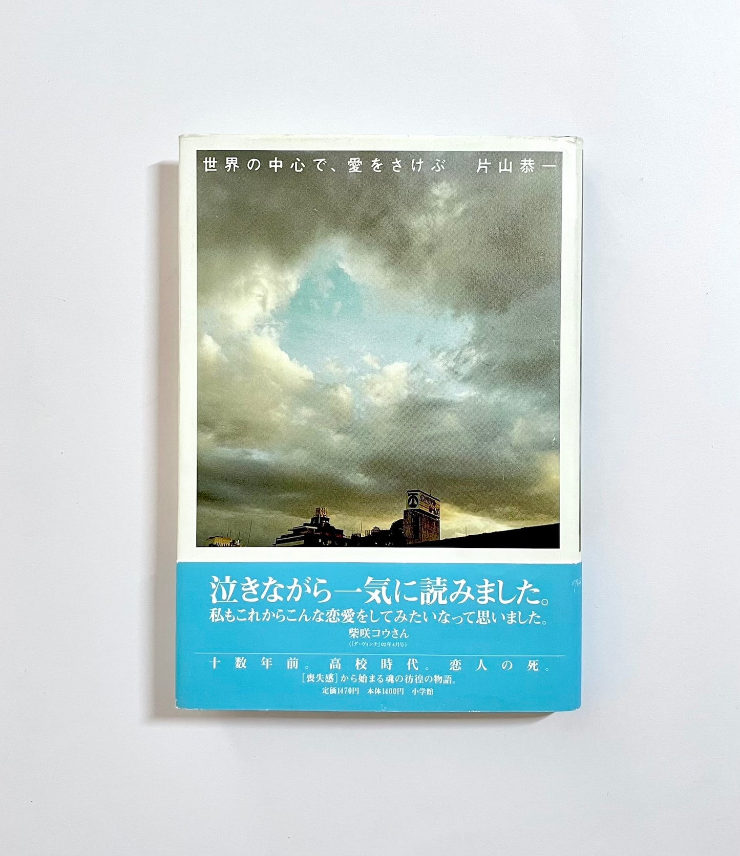 世界の中心で、愛をさけぶ