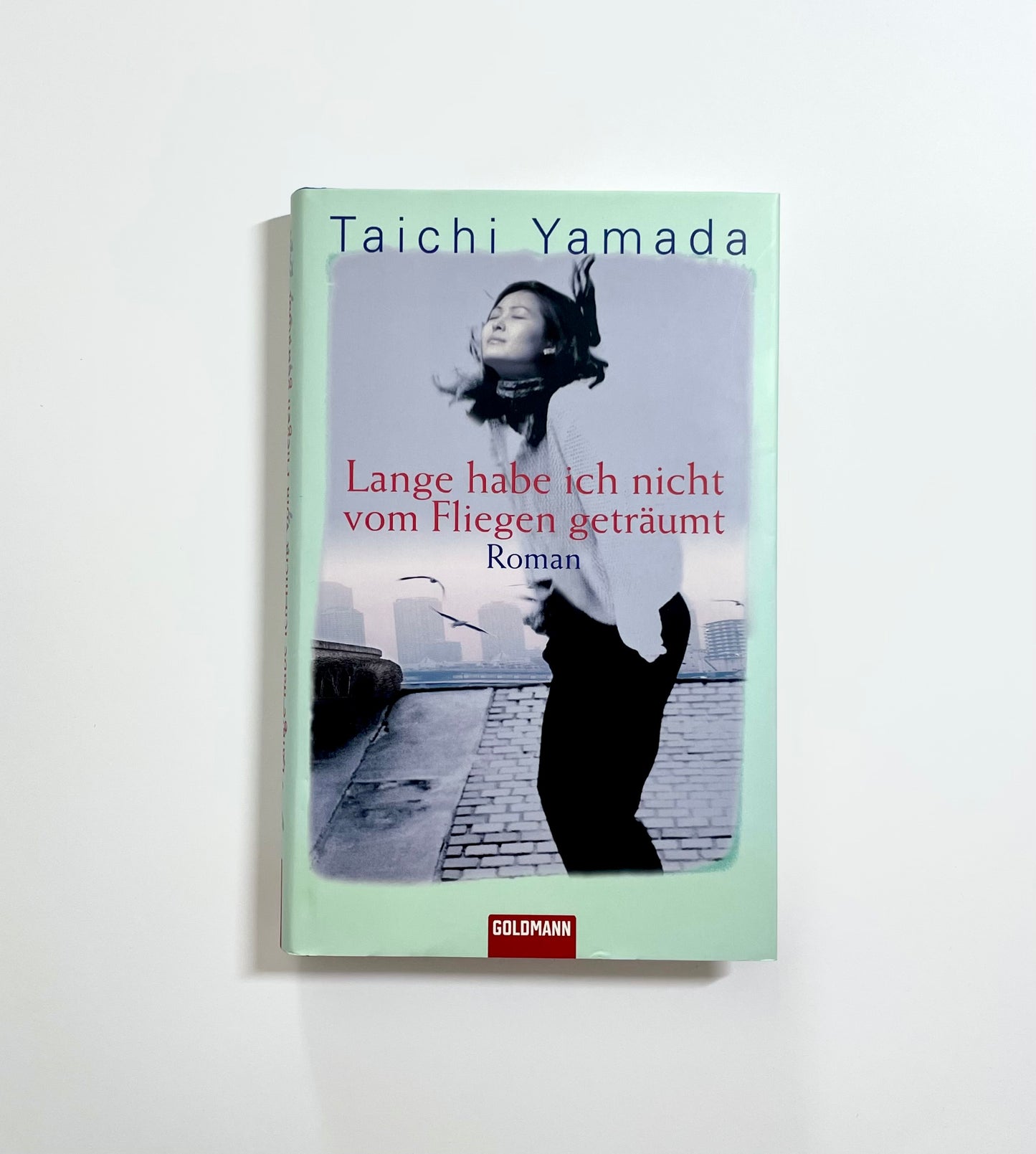 Lange habe ich nicht vom Fliegen geträumt: Roman