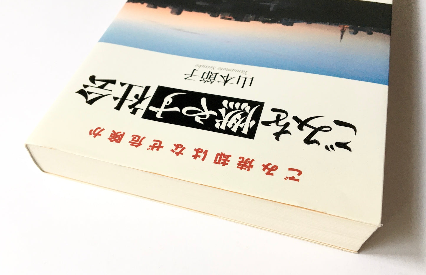 ごみを燃やす社会 ― ごみ焼却はなぜ危険か