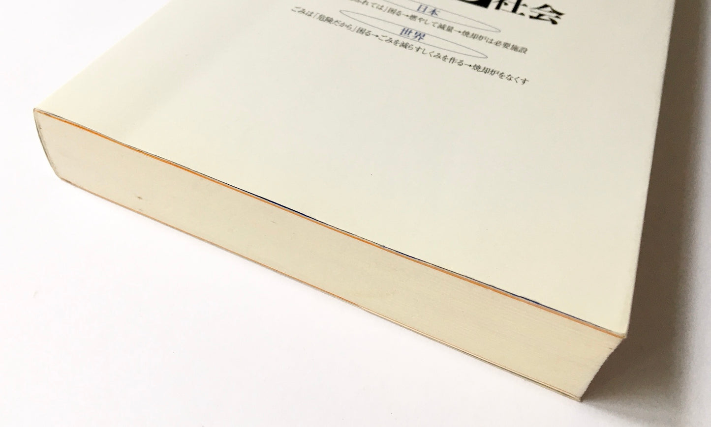 ごみを燃やす社会 ― ごみ焼却はなぜ危険か