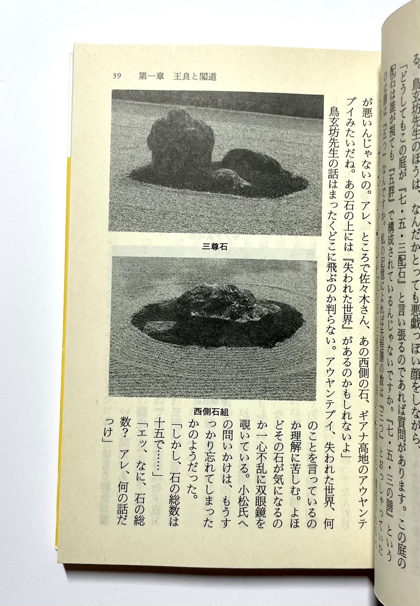 龍安寺石庭の謎: スペース・ガーデン