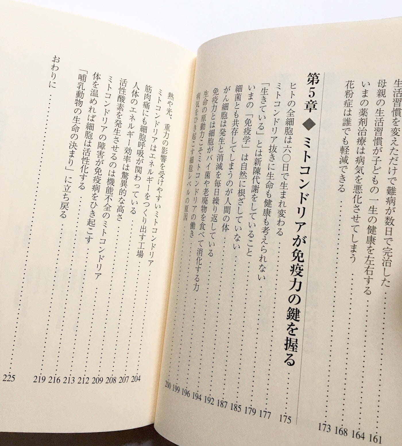 免疫力を高める生活 ― 健康の鍵はミトコンドリアが握っている