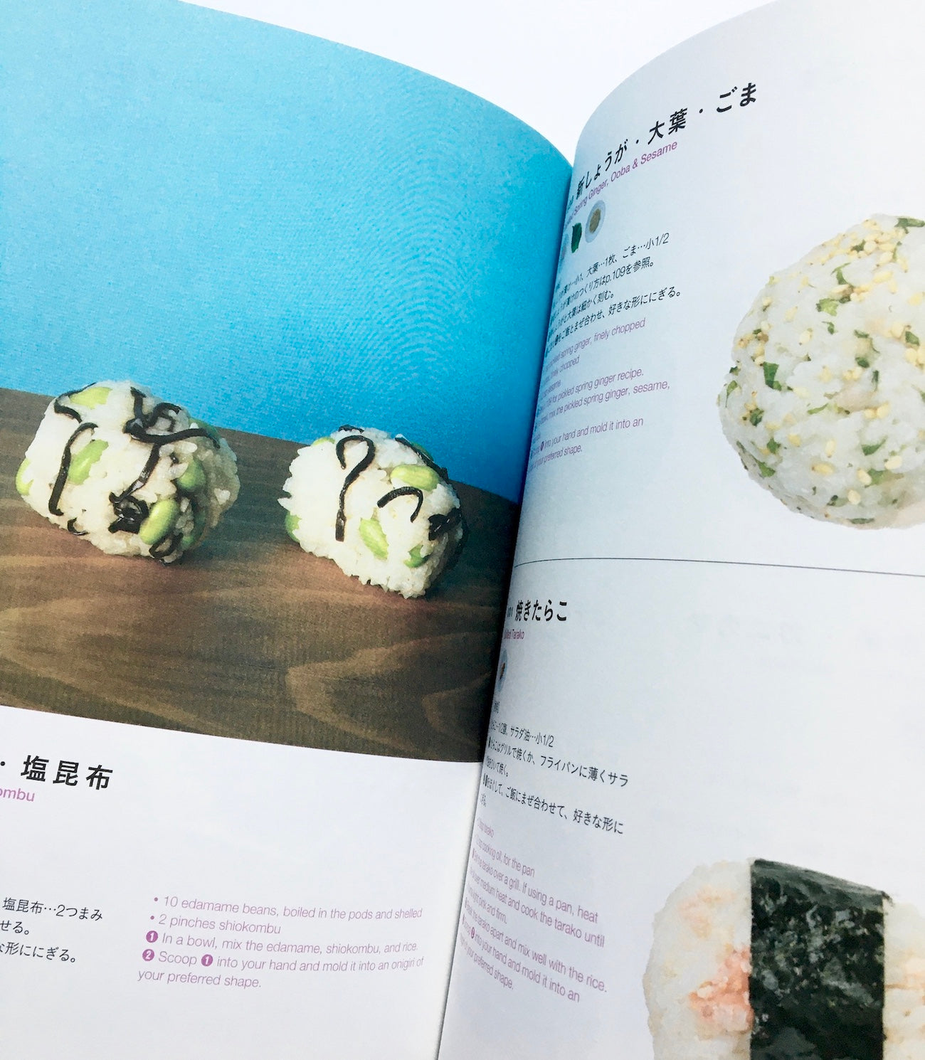 おにぎりレシピ101:  EVERYDAY ONIGIRI 101 Healthy, Easy Japanese Riceball Recipes