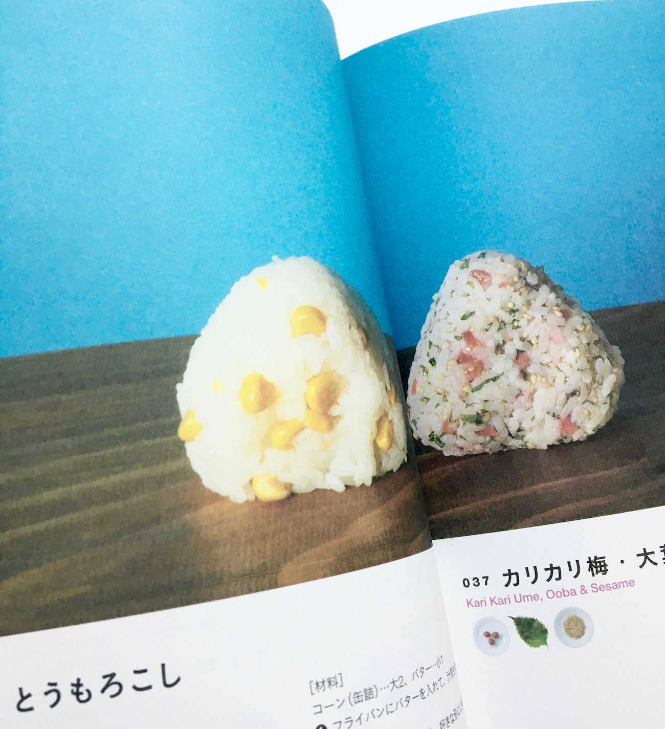 おにぎりレシピ101:  EVERYDAY ONIGIRI 101 Healthy, Easy Japanese Riceball Recipes