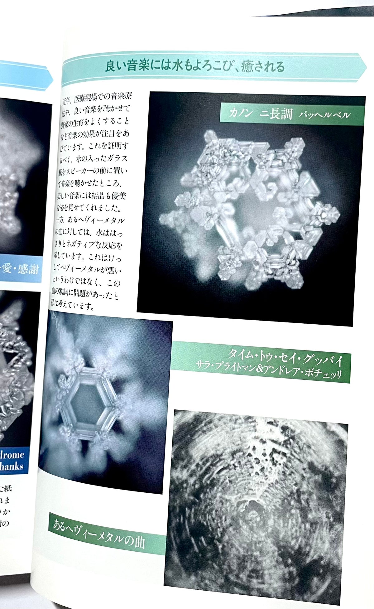 水の「真」力 - 心と体のウォーター・ヒーリング