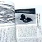 日本の寺院: 歴史のなかの宗教 (別冊歴史読本 53) / Japanese Temples: A History of Religion in Japan