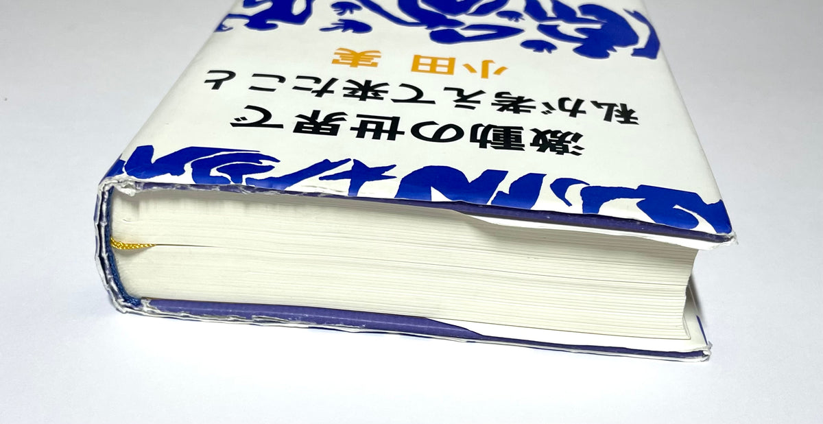 激動の世界で私が考えて来たこと