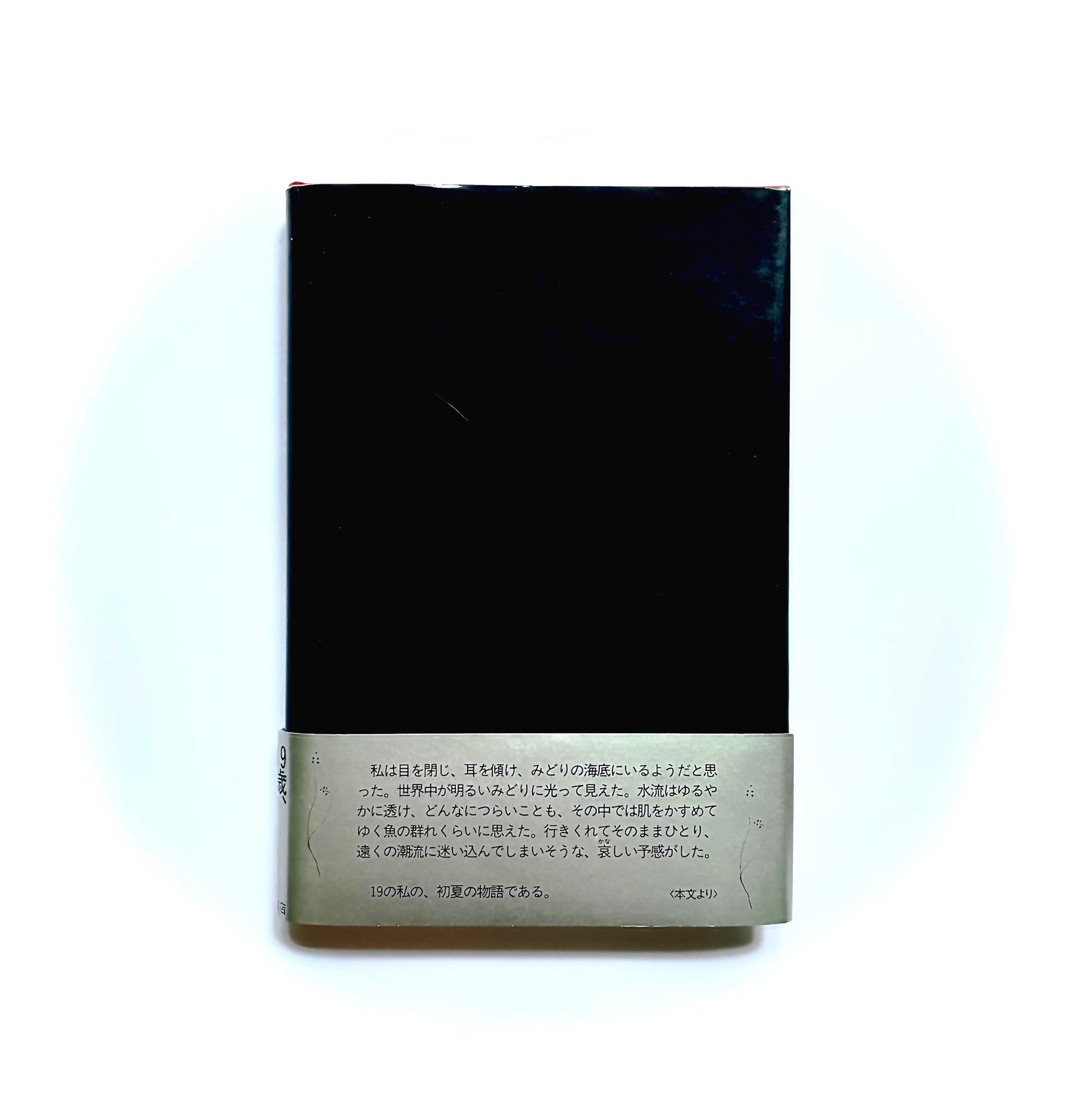 哀しい予感 / The Premonition