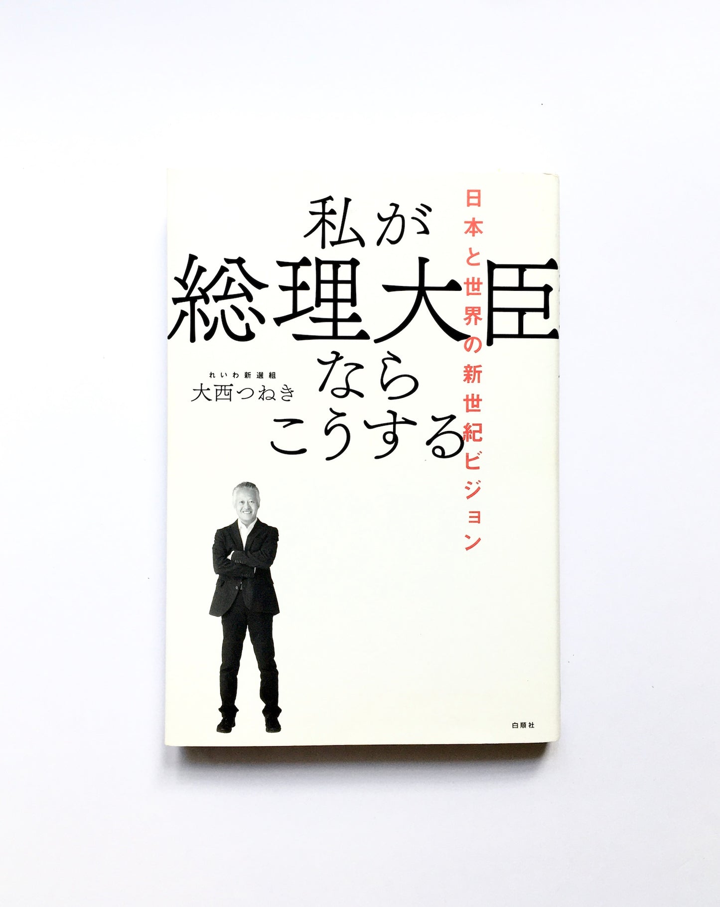 私が総理大臣ならこうする   日本と世界の新世紀ビジョン