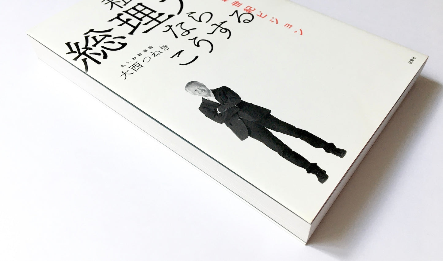 私が総理大臣ならこうする   日本と世界の新世紀ビジョン