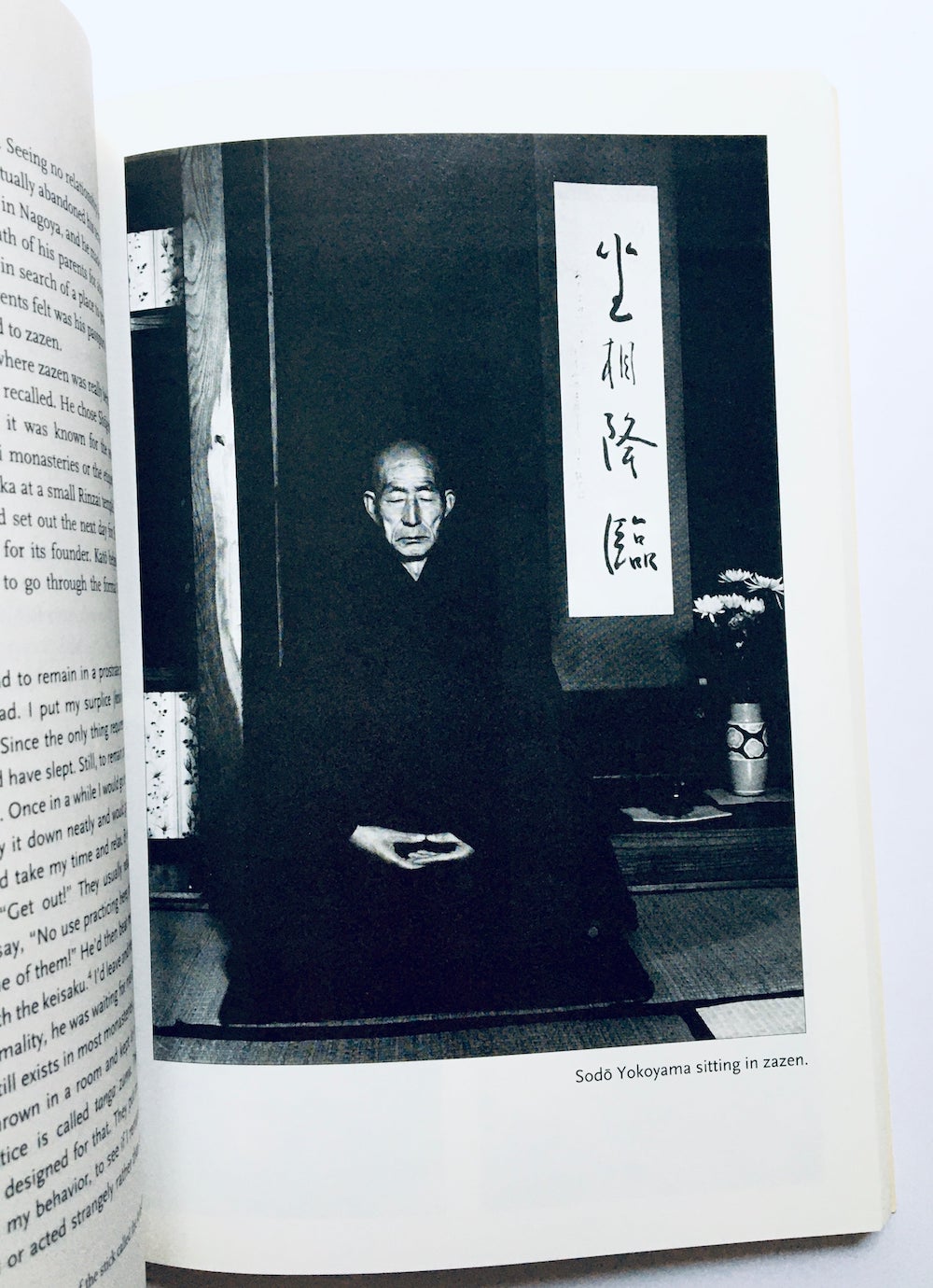 Living and Dying in Zazen: Five Zen Masters of Modern Japan