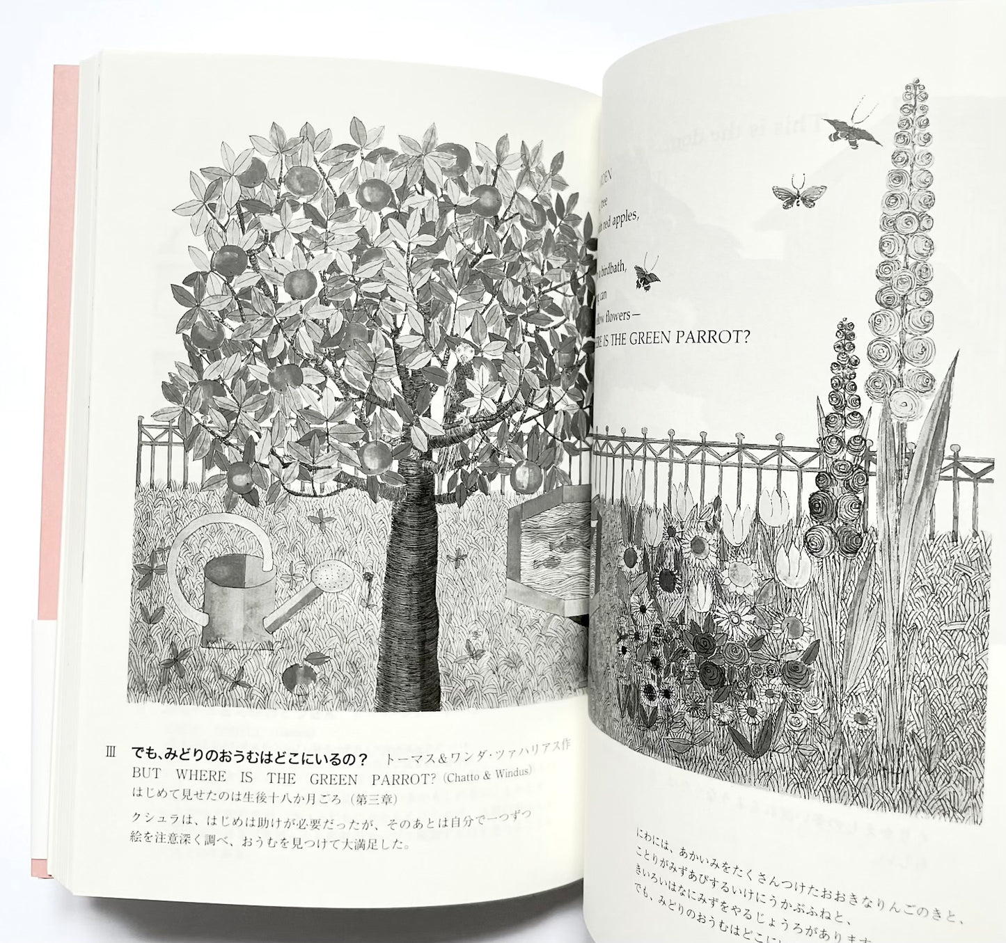 クシュラの奇跡 ―１４０冊の絵本との日々
