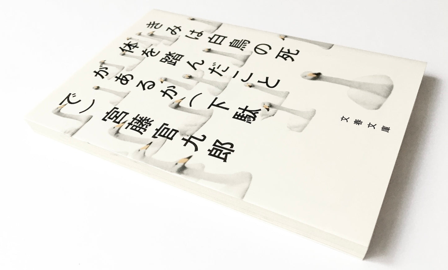 きみは白鳥の死体を踏んだことがあるか(下駄で)