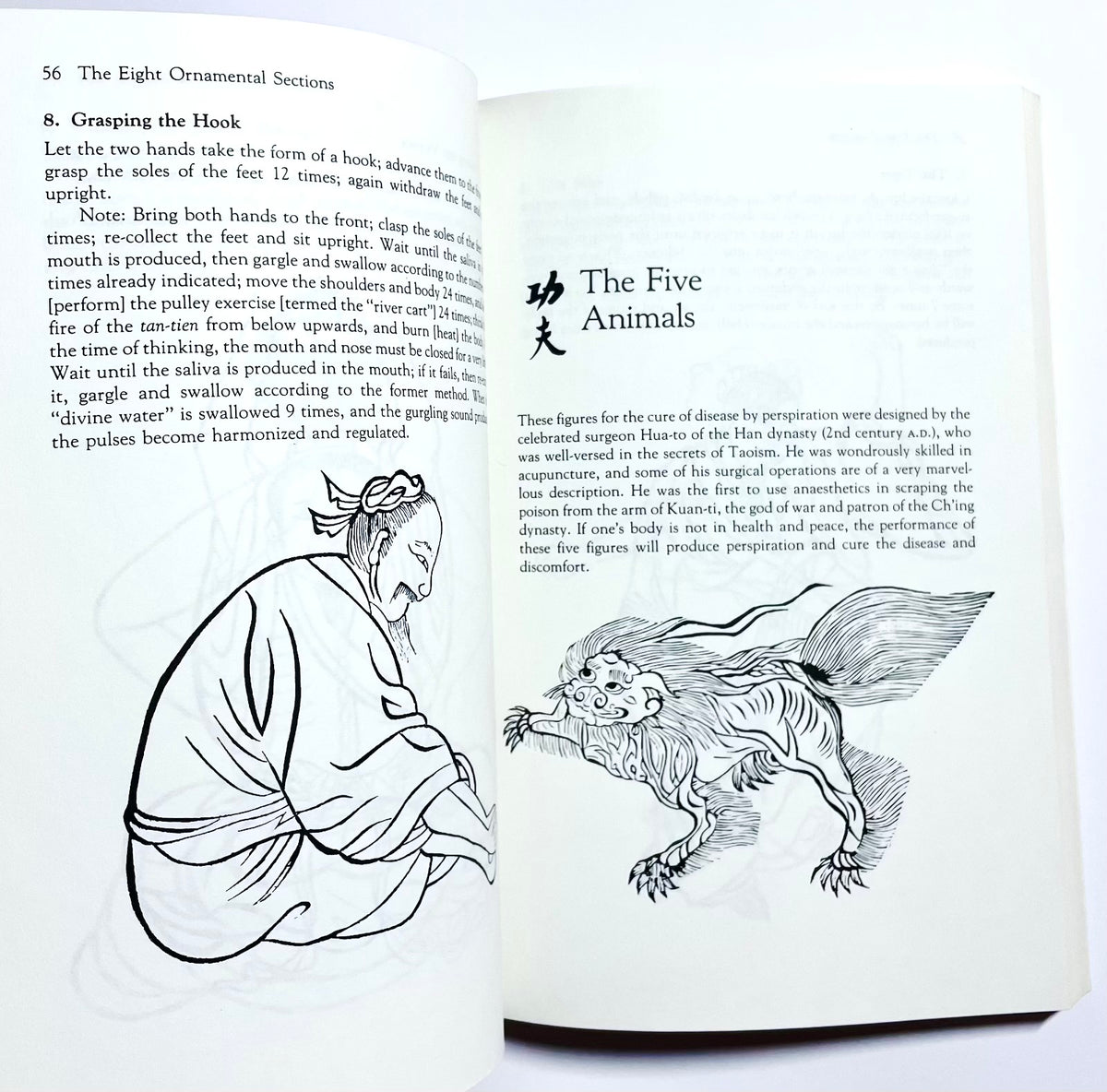 Chinese Healing Arts