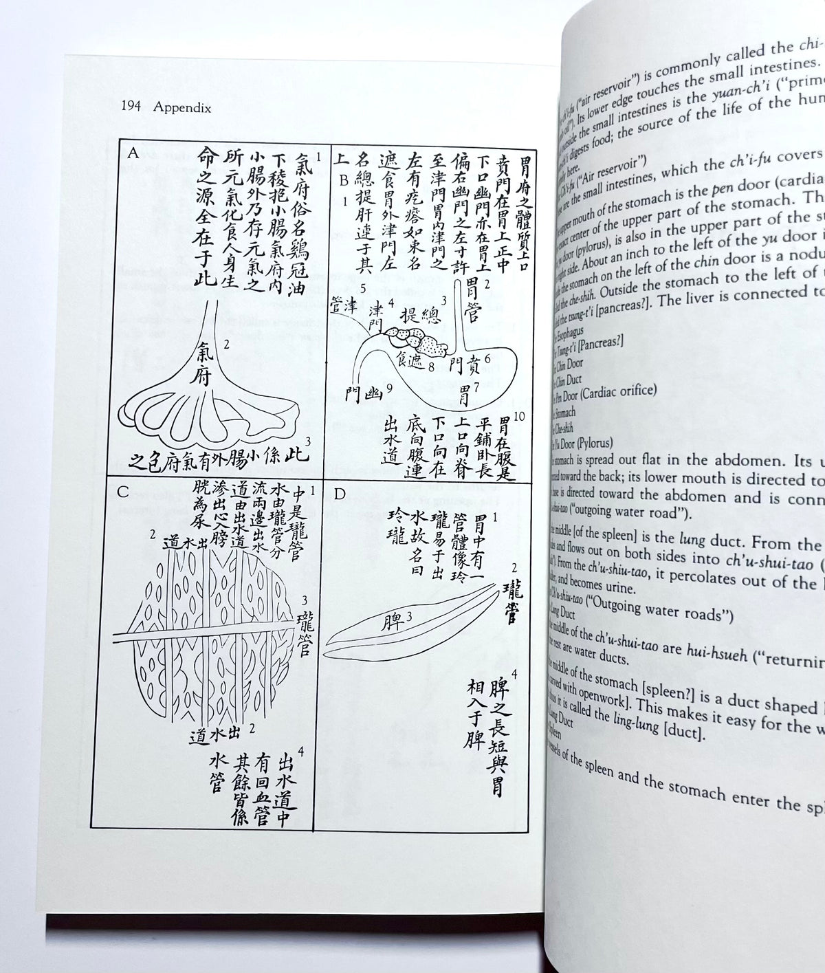 Chinese Healing Arts