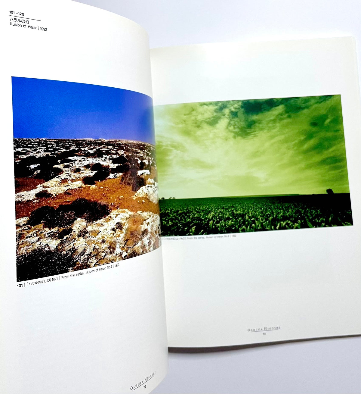 Border/Borderless : Japanese contemporary photography / はるかな空の下で : 日本の現代写真